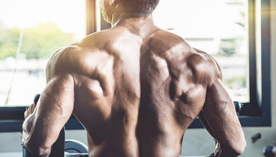 Exercising Your Back and Biceps: Anatomy & Benefits