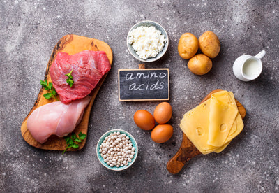 Understanding Amino Acids and Unlocking Their Power