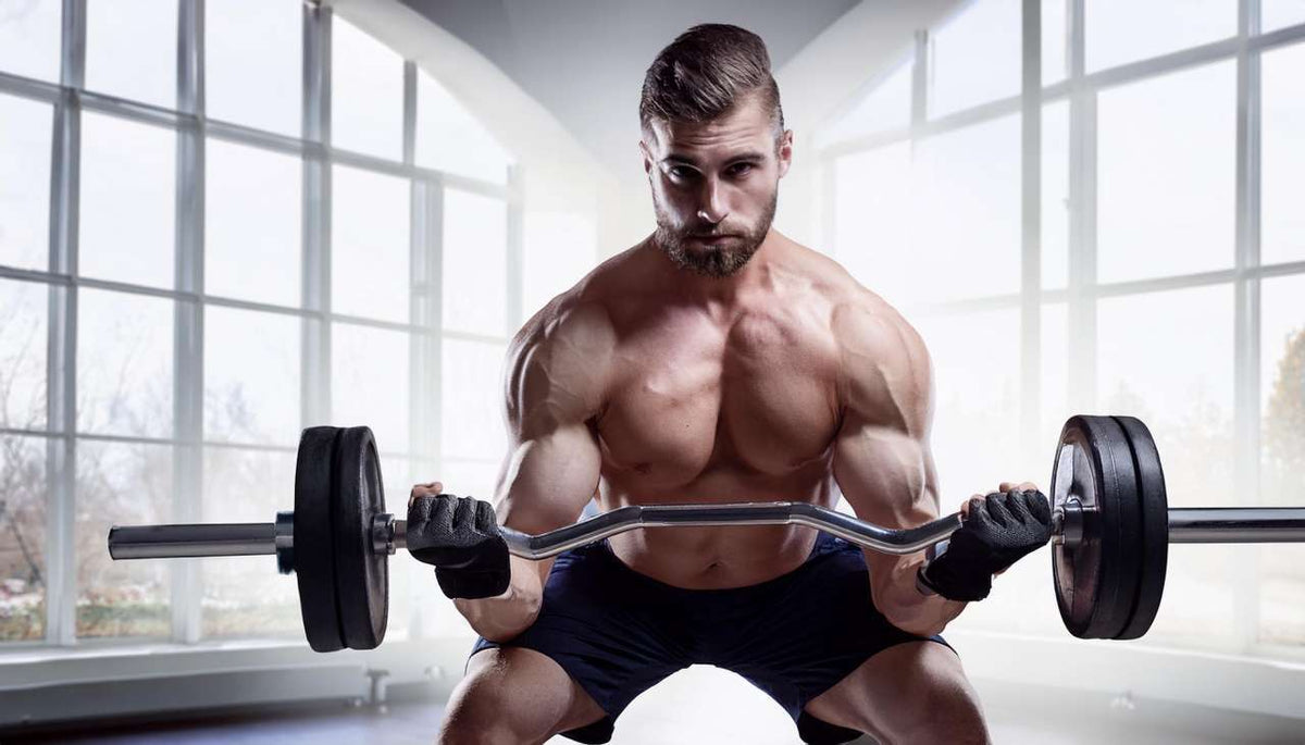 Lower Back Dumbbell Exercise
