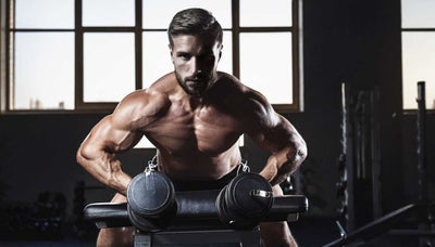 Effective Spider Curl Biceps Workout Guide