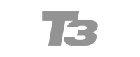 T3
